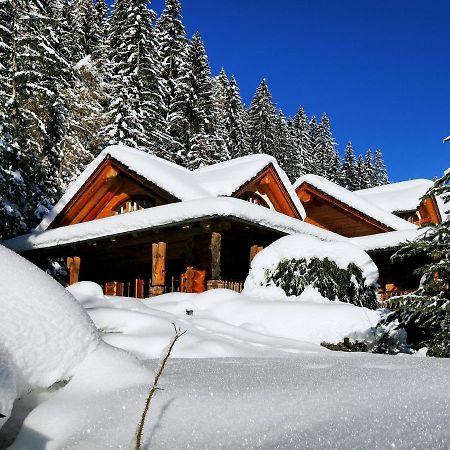 Chalet Caprea Bad Kleinkirchheim Zewnętrze zdjęcie