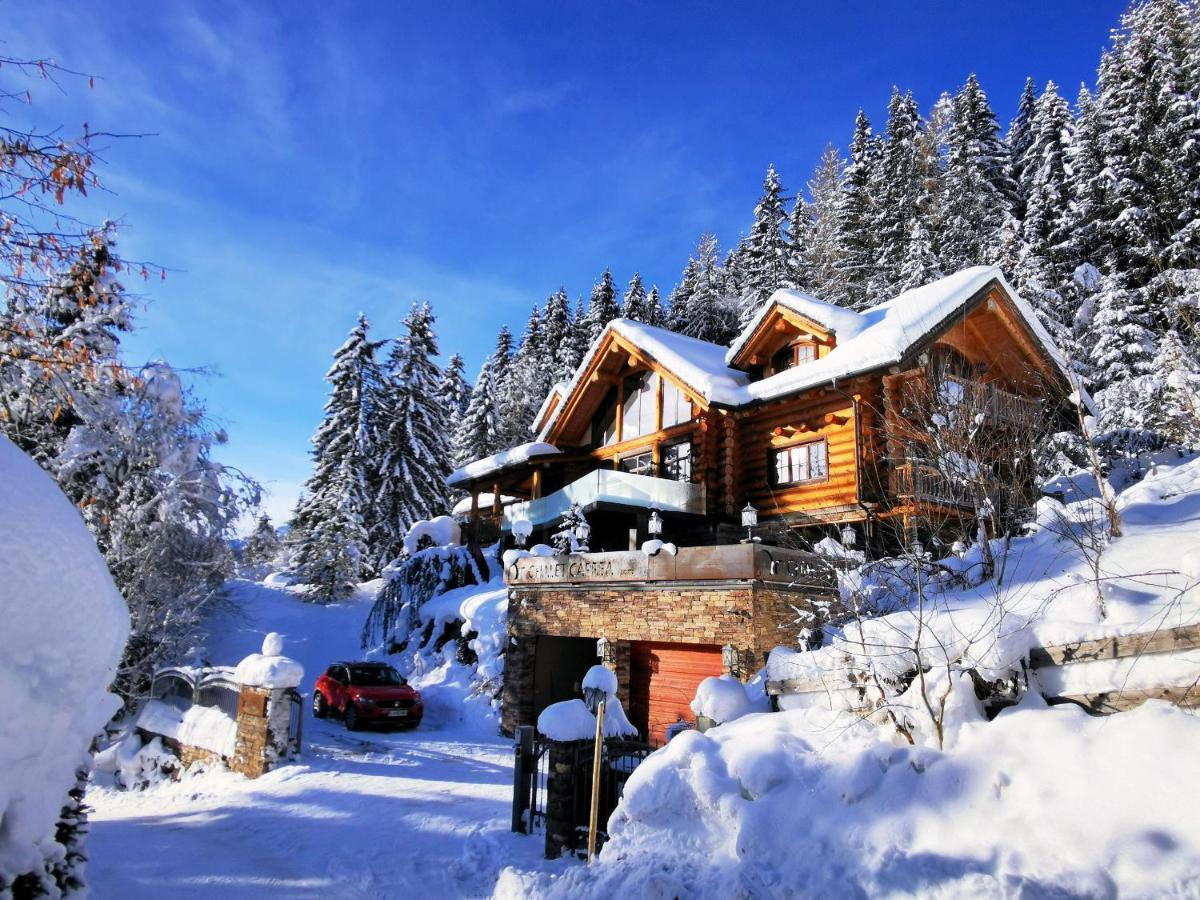 Chalet Caprea Bad Kleinkirchheim Zewnętrze zdjęcie