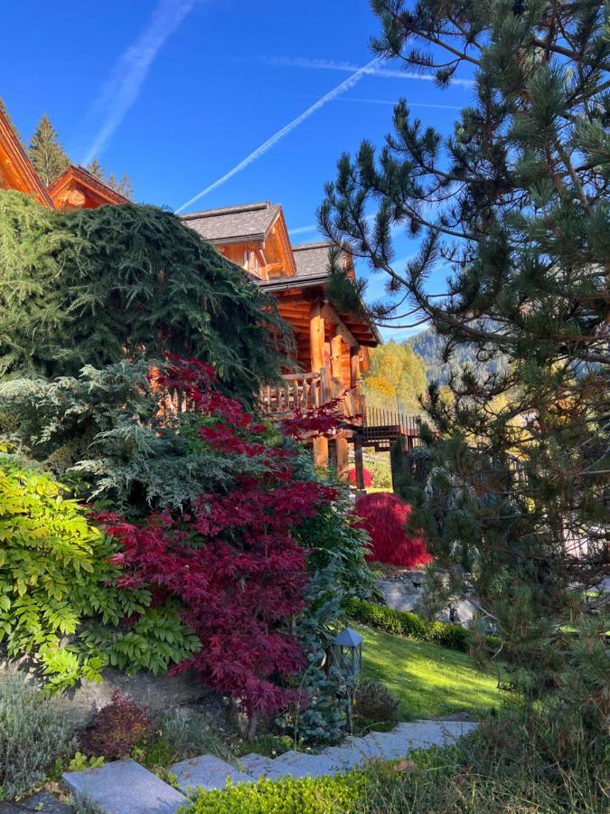 Chalet Caprea Bad Kleinkirchheim Zewnętrze zdjęcie